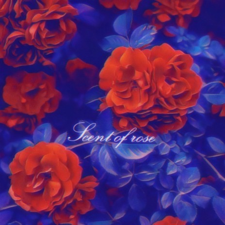 Scent of rose | Boomplay Music