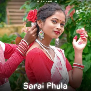 Sarai Phula