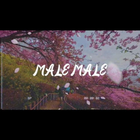 Male Male | Boomplay Music