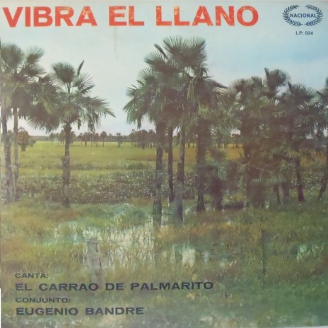 Vibra el Llano | Boomplay Music