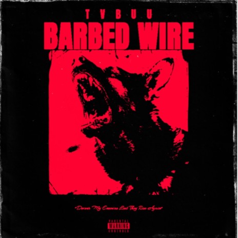 BARBED WIRE