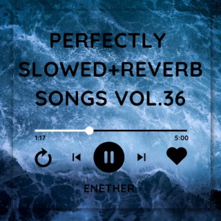 Perfectly Slowed+Reverb Songs Vol. 36