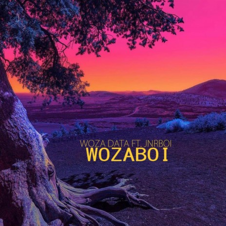 WozaBoi ft. JnrBoi