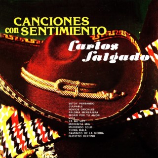 Canciones con sentimiento