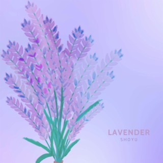 Lavender