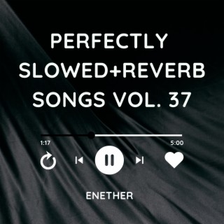 Perfectly Slowed+Reverb Songs Vol. 37