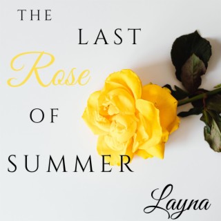 The Last Rose of Summer