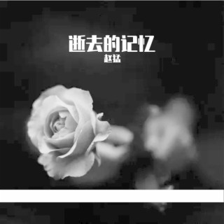 逝去的记忆 ft. 哏都玩哥 lyrics | Boomplay Music