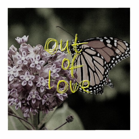 out of love