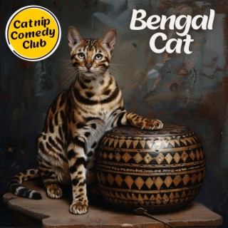 Bengal Cat