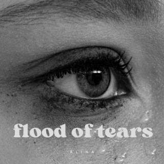 flood of tears lyrics | Boomplay Music