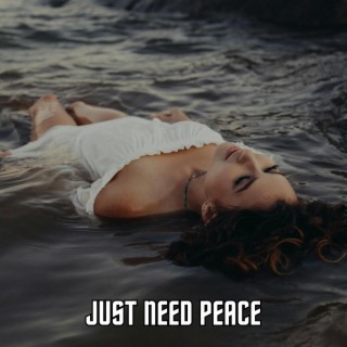 Just need peace (R&B Instrumental)