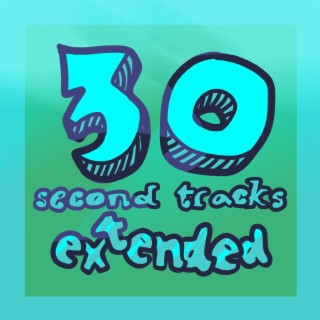 30 second tracks extended