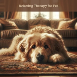 Relaxing Therapy for Pet: Anti Separation Anxiety Relief