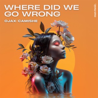 Where Did We Go Wrong ft. Ojax lyrics | Boomplay Music
