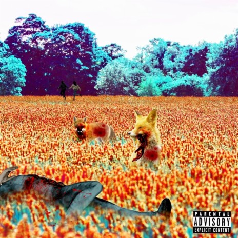 Real Foxes | Boomplay Music