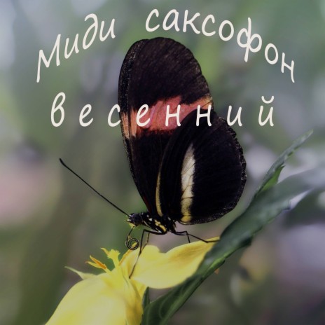 Миди саксофон весенний | Boomplay Music