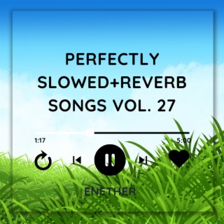 Perfectly Slowed+Reverb Songs Vol. 27