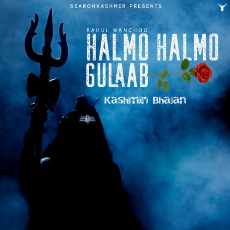 Halmo Halmo Gulaab Kashmiri Bhajan