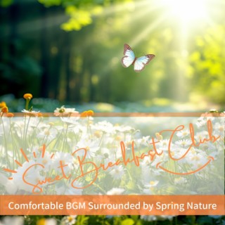 Comfortable Bgm Surrounded by Spring Nature