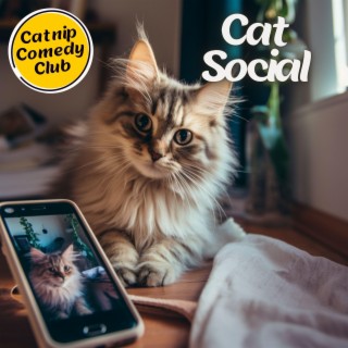 Cat Social