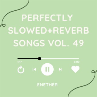 Perfectly Slowed+Reverb Songs Vol. 49