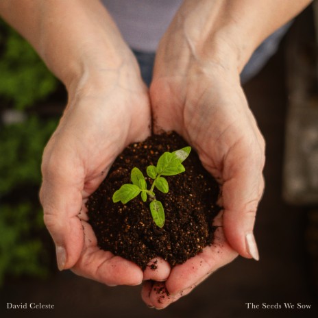 Planting the Seeds | Boomplay Music