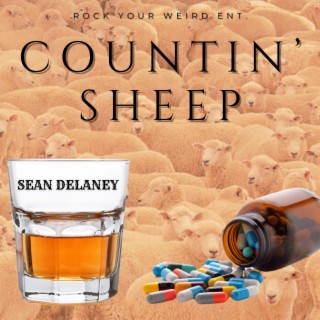 Countin Sheep lyrics | Boomplay Music