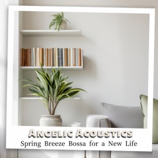 Spring Breeze Bossa for a New Life