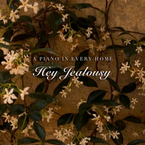 Hey Jealousy | Boomplay Music