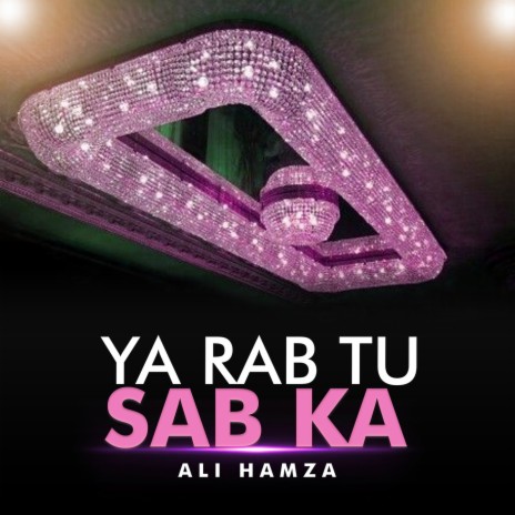 Ya Rab Tu Sab Ka | Boomplay Music