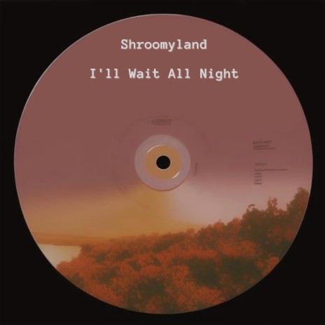 I'll Wait All Night | Boomplay Music