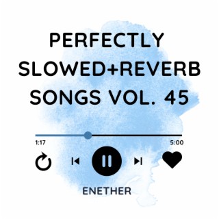 Perfectly Slowed+Reverb Songs Vol. 45