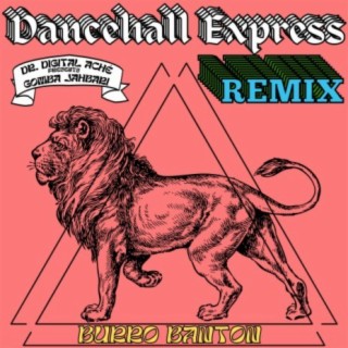 Dancehall Express (feat. Burro Banton) (Remix)