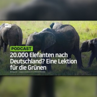 20.000 Elefanten nach Deutschland? Eine Lektion für die Grünen