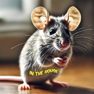 Mouse In The House (Instrumental)