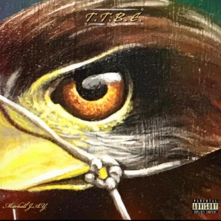 TAKE FLIGHT (No Cap) lyrics | Boomplay Music