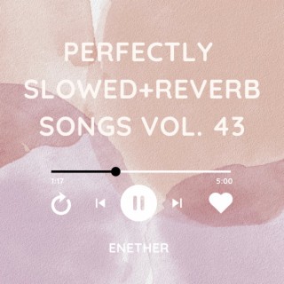 Perfectly Slowed+Reverb Songs Vol. 43