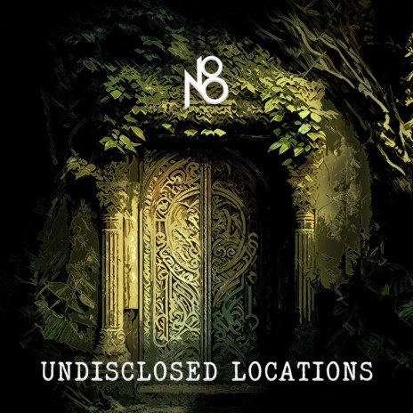 UNDISCLOSED LOCATIONS | Boomplay Music