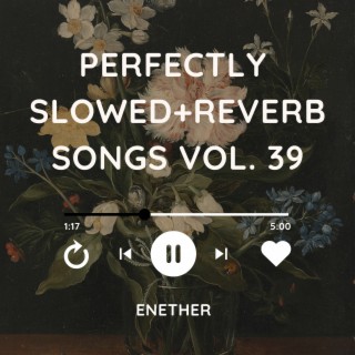 Perfectly Slowed+Reverb Songs Vol. 39