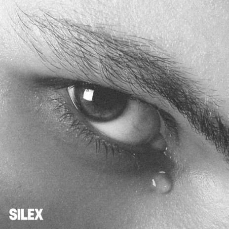 SILEX | Boomplay Music