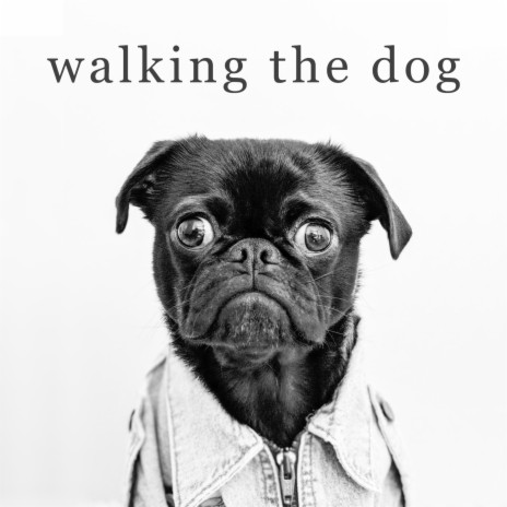 Walking The Dog | Boomplay Music