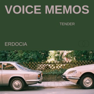 tender (voice memo)
