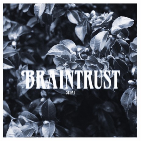 Brain Trust | Boomplay Music