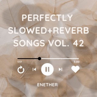 Perfectly Slowed+Reverb Songs Vol. 42