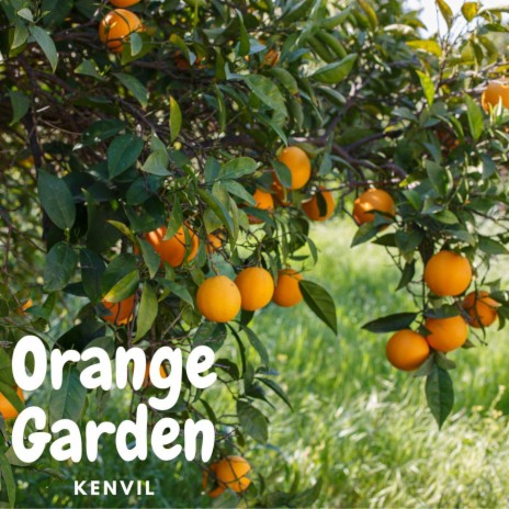 Orange Garden