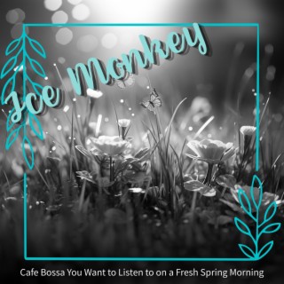 Cafe Bossa You Want to Listen to on a Fresh Spring Morning