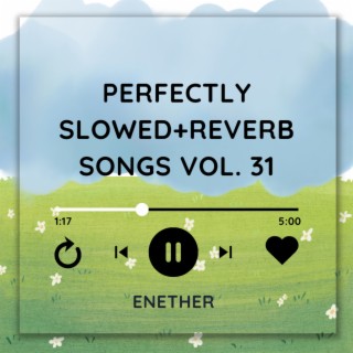 Perfectly Slowed+Reverb Songs Vol. 31