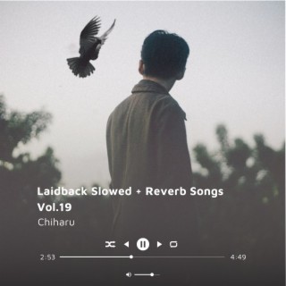 Laidback Slowed + Reverb Songs Vol.19