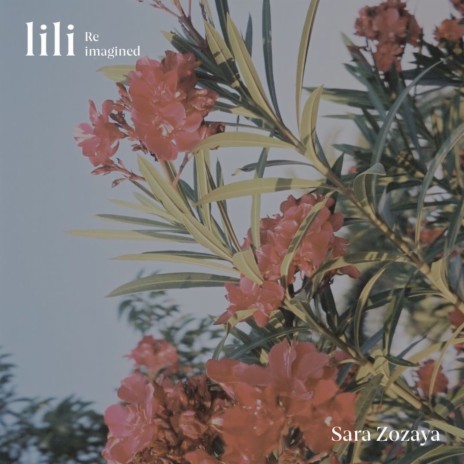 lili (reimagined) | Boomplay Music